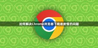 google-13